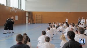 La puissance de l'interne du taichi de Wudang avec Charles-Henri Belmonte