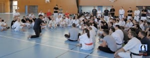 Moment de partage avec master Dani Faynot en Arnis Kali Eskrima