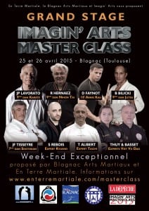 affiche masterclass 2015 arts martiaux Toulouse Blagnac