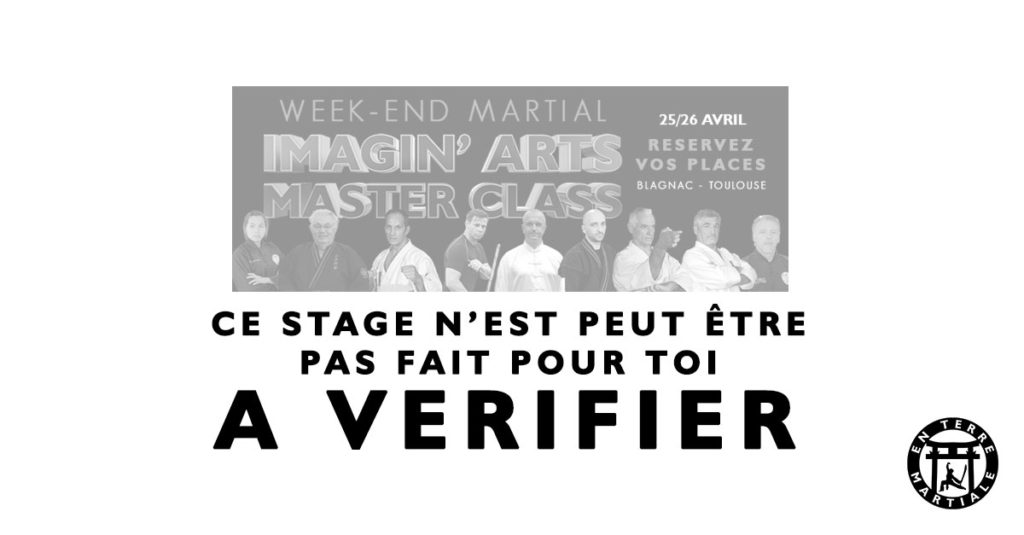 stage arts martiaux masterclass à Toulouse Blagnac