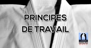 principes de travail au masterclass stage multi-disciplines arts martiaux