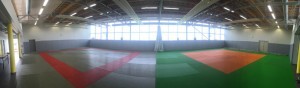 dojo blagnac arts martiaux