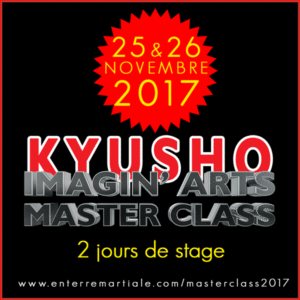 masterclass kyusho 2 jours
